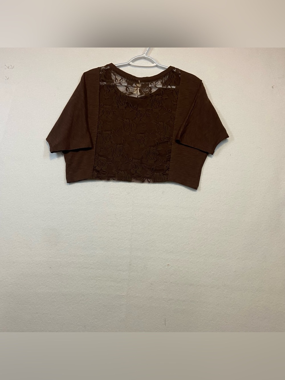 Color Story Brown Cropped Short-Sleeve Top Women Sz L
